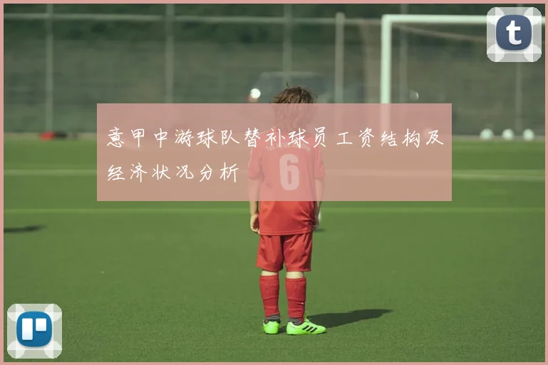 意甲中游球队替补球员工资结构及经济状况分析