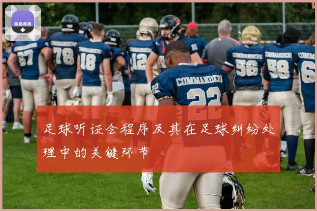 足球听证会程序及其在足球纠纷处理中的关键环节