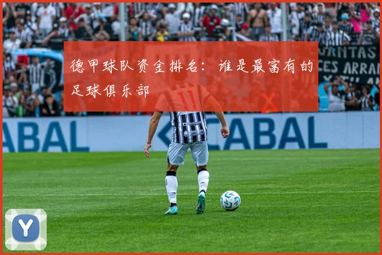 德甲球队资金排名：谁是最富有的足球俱乐部