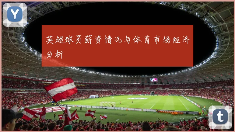 英超球员薪资情况与体育市场经济分析