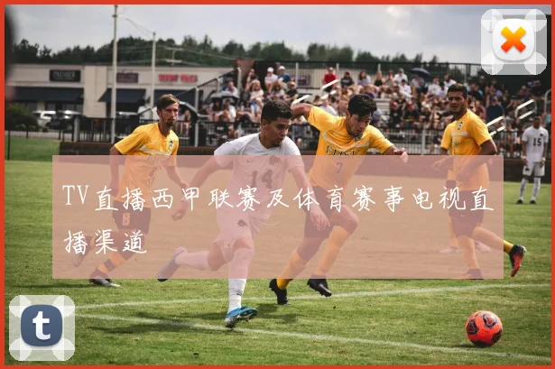 TV直播西甲联赛及体育赛事电视直播渠道