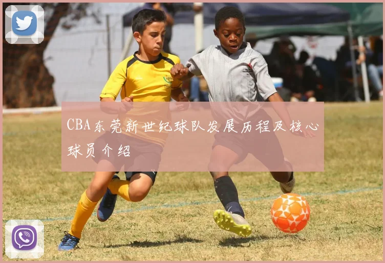 CBA东莞新世纪球队发展历程及核心球员介绍